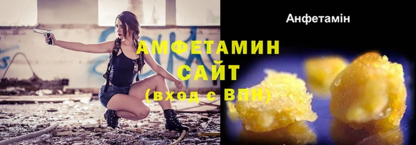 шишки Армянск
