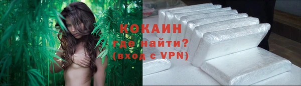 шишки Армянск