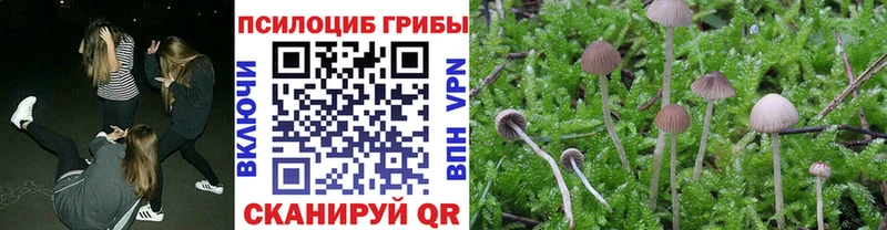 Псилоцибиновые грибы ЛСД  Новопавловск 